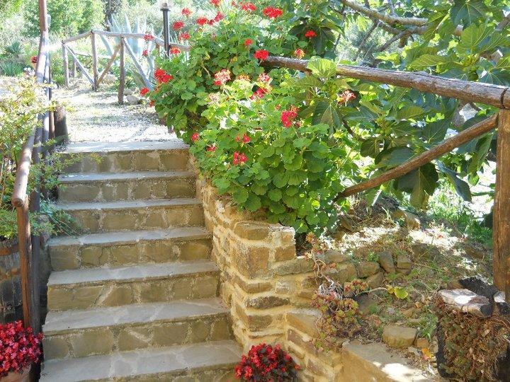 Casale San Martino Bed & Breakfast Laureana Cilento Bagian luar foto