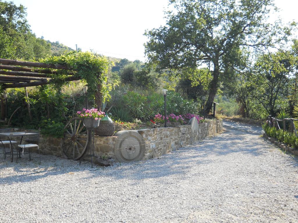 Casale San Martino Bed & Breakfast Laureana Cilento Bagian luar foto
