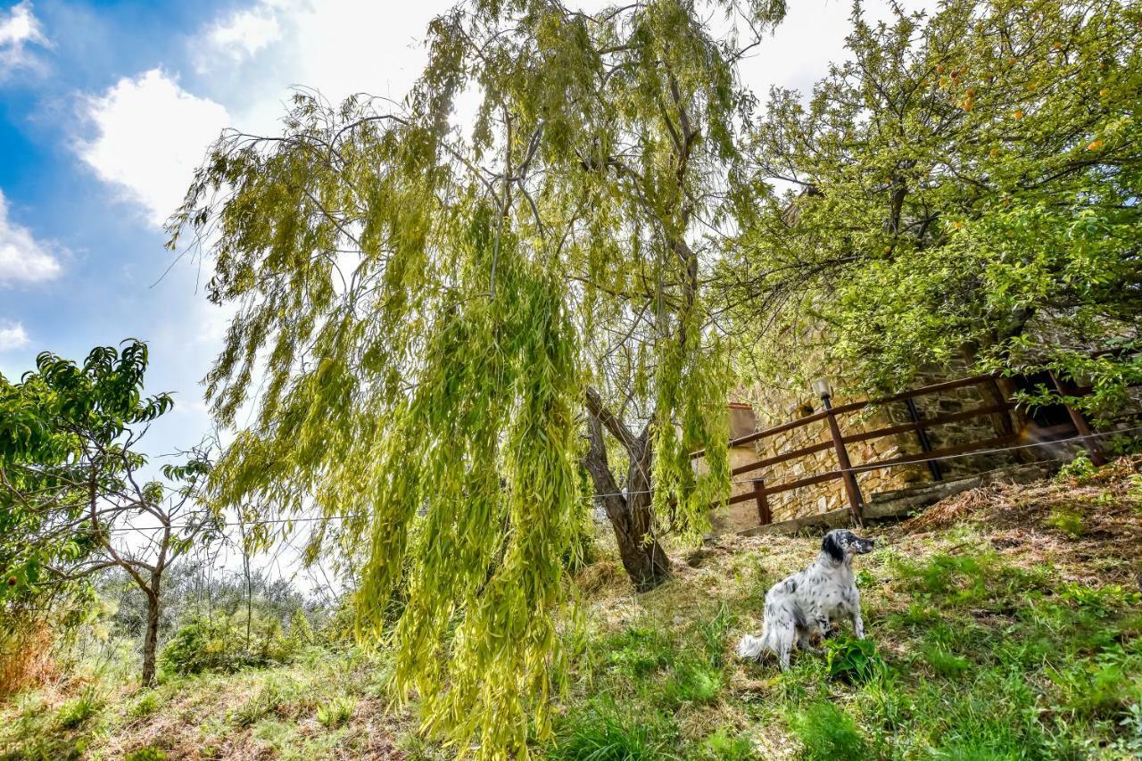 Casale San Martino Bed & Breakfast Laureana Cilento Bagian luar foto